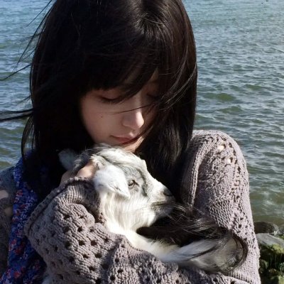 盲目的交易海报