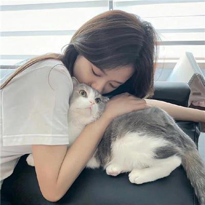 你的口袋藏把枪海报