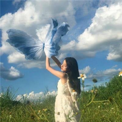 华严经海报
